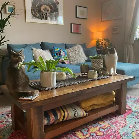 Apartment Cosy Homey Blackrock (Dublin)
